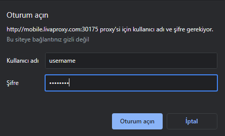 Proxy Authentication